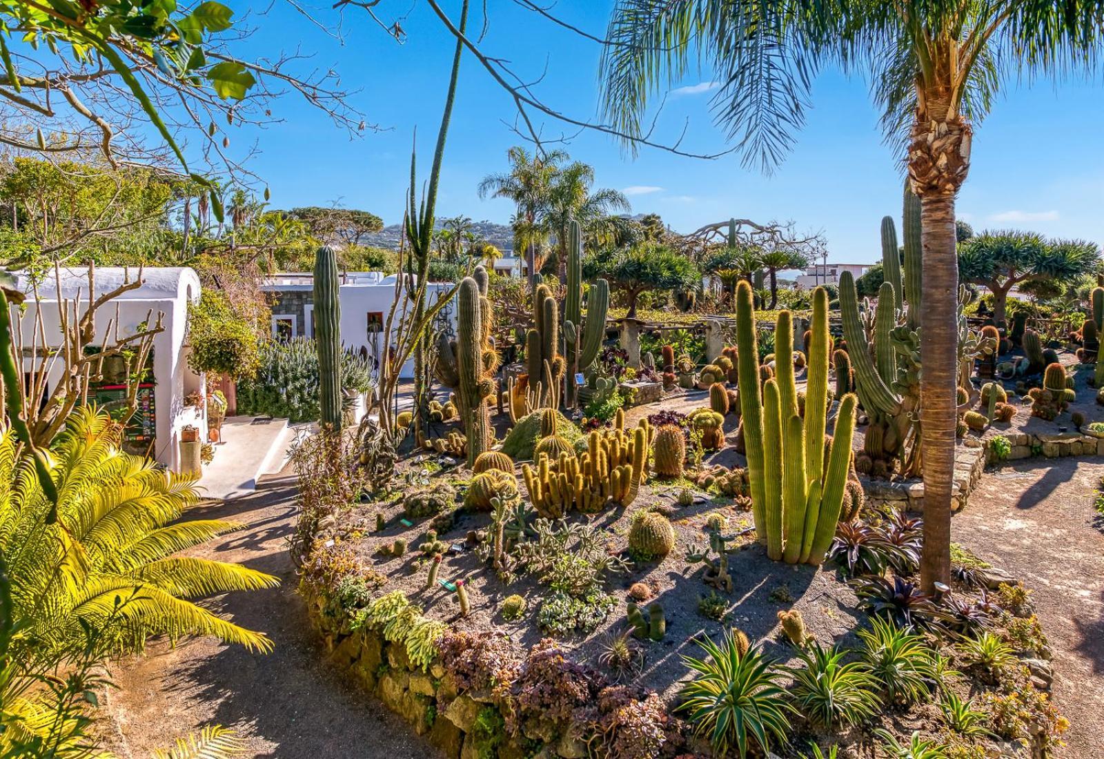 Villa Ravino Secret Retreat Forio di Ischia Exterior foto